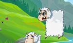 Apila ovejas
