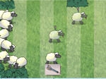 Sheep Reactions