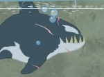 Orca asesina